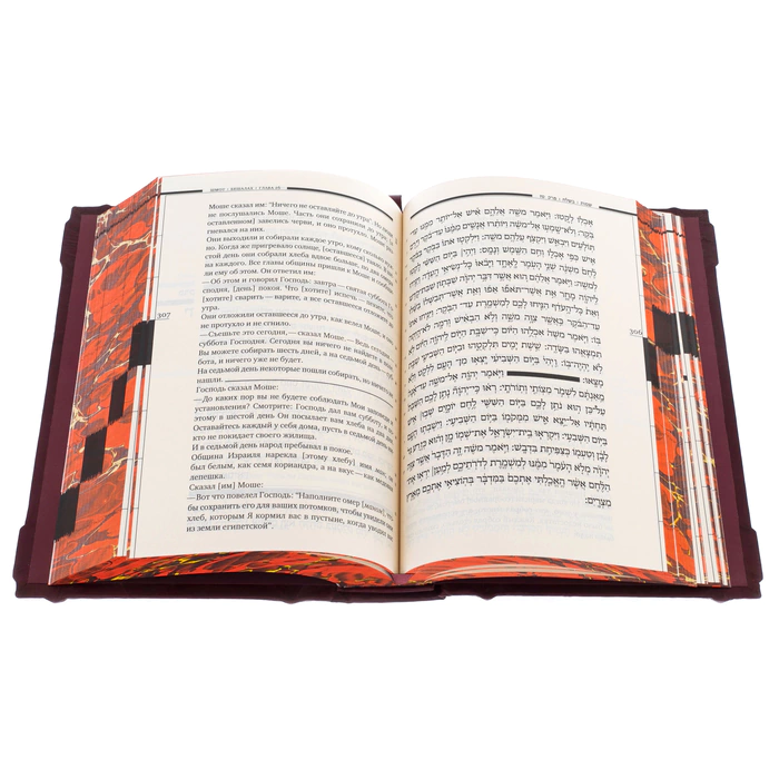 The Torah