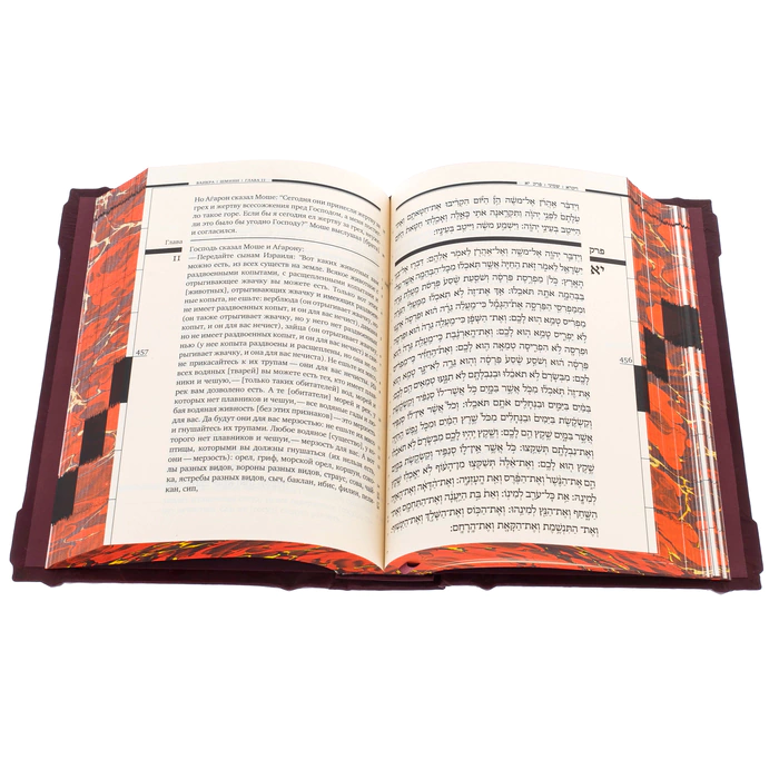 The Torah