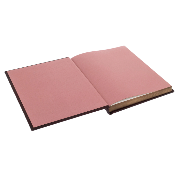 The leather-bound book "Russia. Century after century"