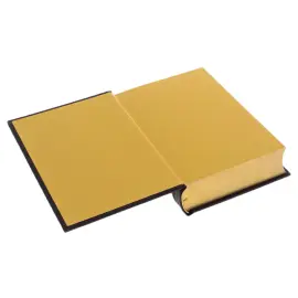 Библия в окладе, Златоуст Библия в окладе, Златоуст