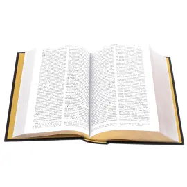 Библия в окладе, Златоуст Библия в окладе, Златоуст
