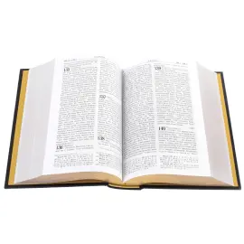 Библия в окладе, Златоуст Библия в окладе, Златоуст