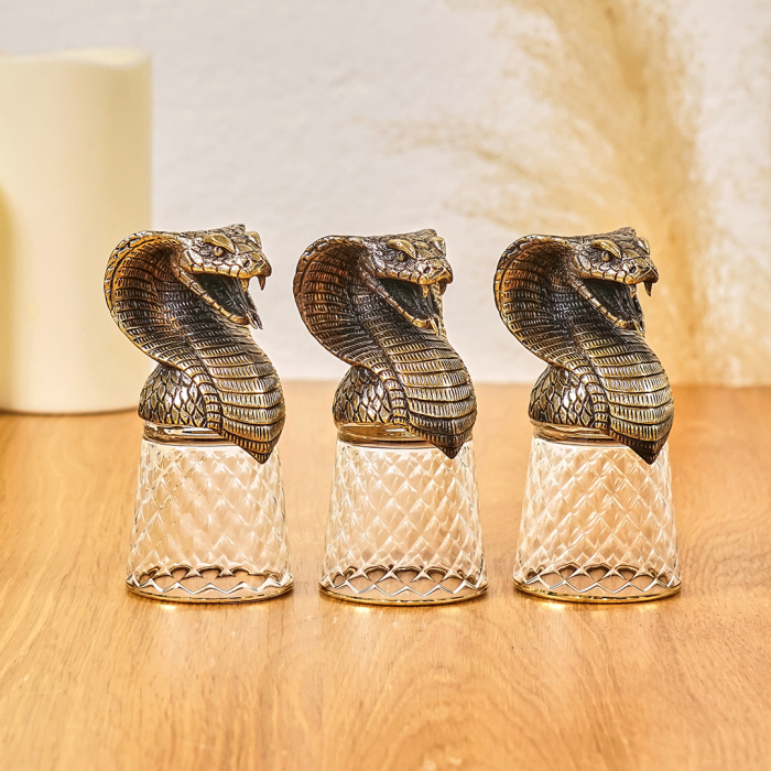 A set of stacks of Snake shifters for 3 people, in a box