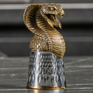 A set of stacks of Snake shifters for 6 people, in a box