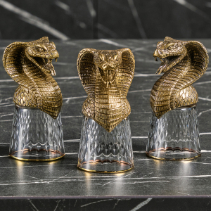 A set of stacks of Snake shifters for 6 people, in a box