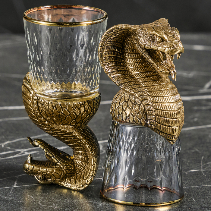 A set of stacks of Snake shifters for 6 people, in a box