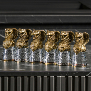 A set of stacks of Snake shifters for 6 people, in a box