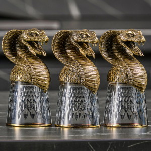 A set of stacks of Snake shifters for 6 people, in a box