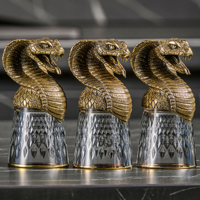 A set of stacks of Snake shifters for 6 people, in a box