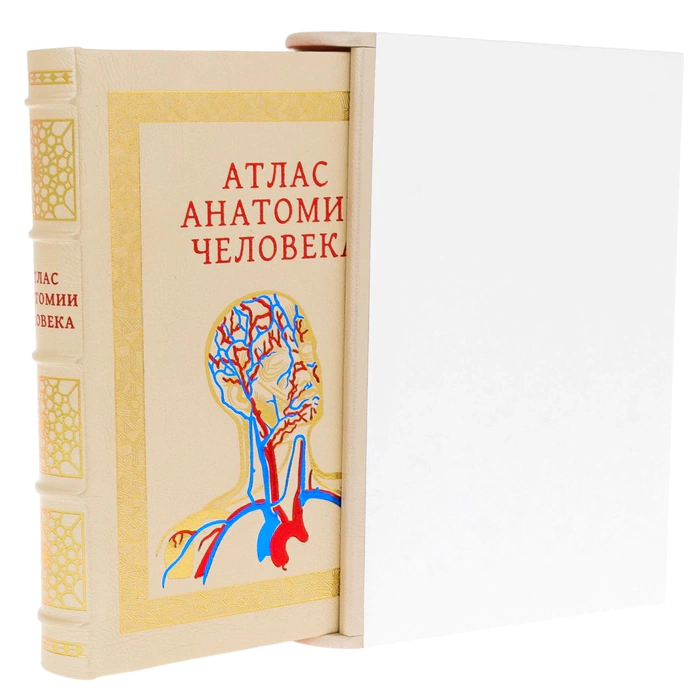Leather-bound book "Atlas of Human Anatomy" in a case