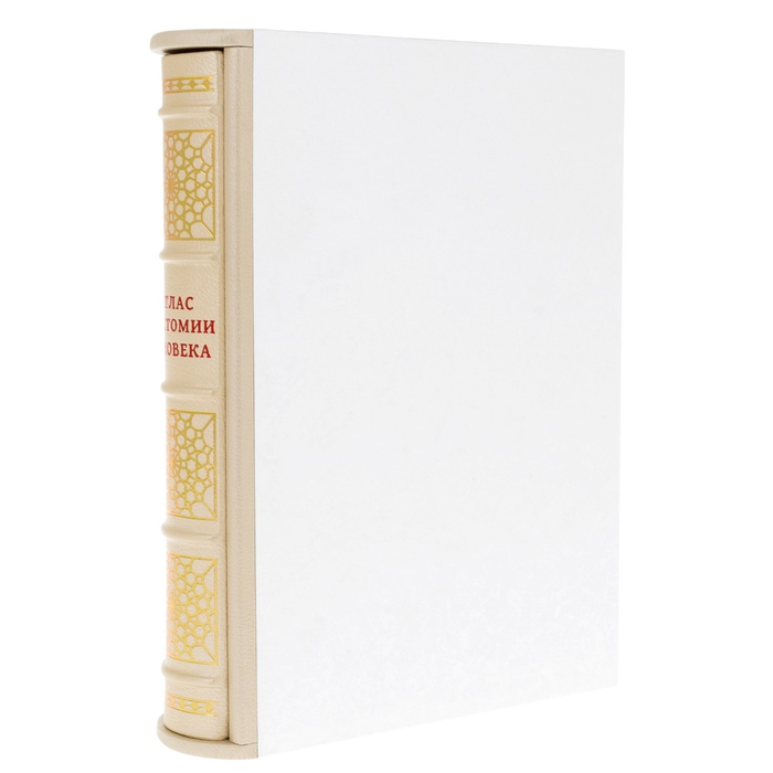 Leather-bound book "Atlas of Human Anatomy" in a case