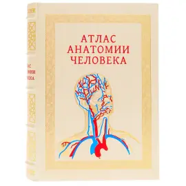 Книга в кожаном переплете "Атлас анатомии человека" в футляре