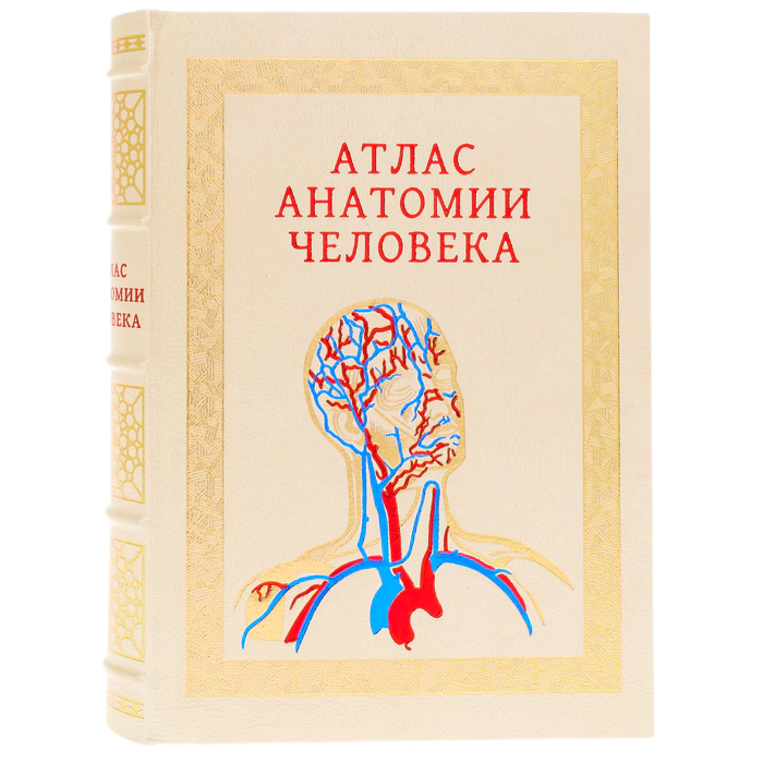 Leather-bound book "Atlas of Human Anatomy" in a case