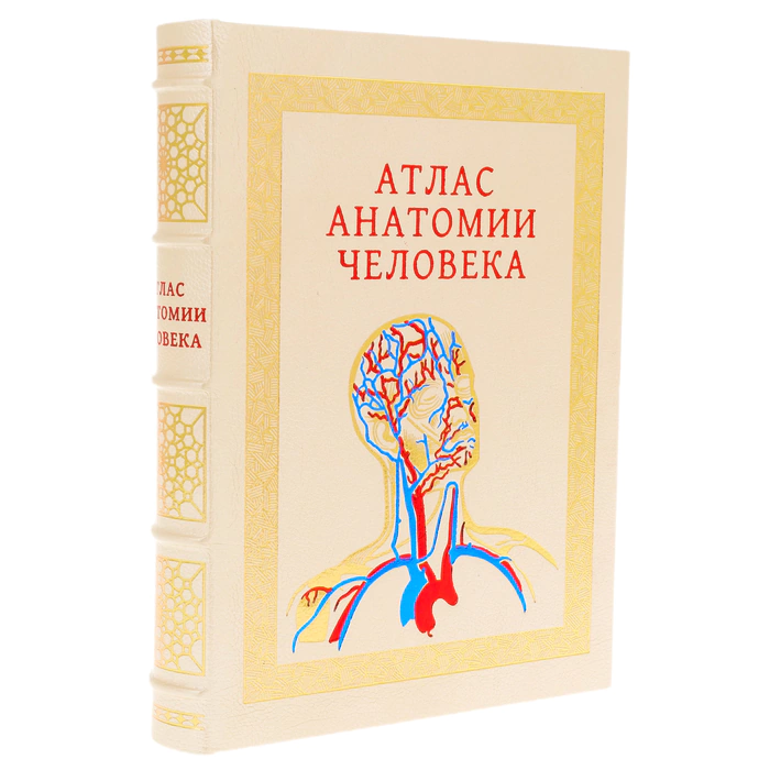 Leather-bound book "Atlas of Human Anatomy" in a case