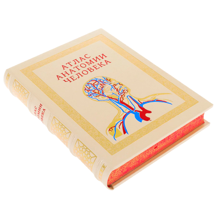 Leather-bound book "Atlas of Human Anatomy" in a case