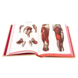 Книга в кожаном переплете "Атлас анатомии человека" в футляре