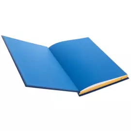 Книга в кожаном переплете "Мировая живопись"