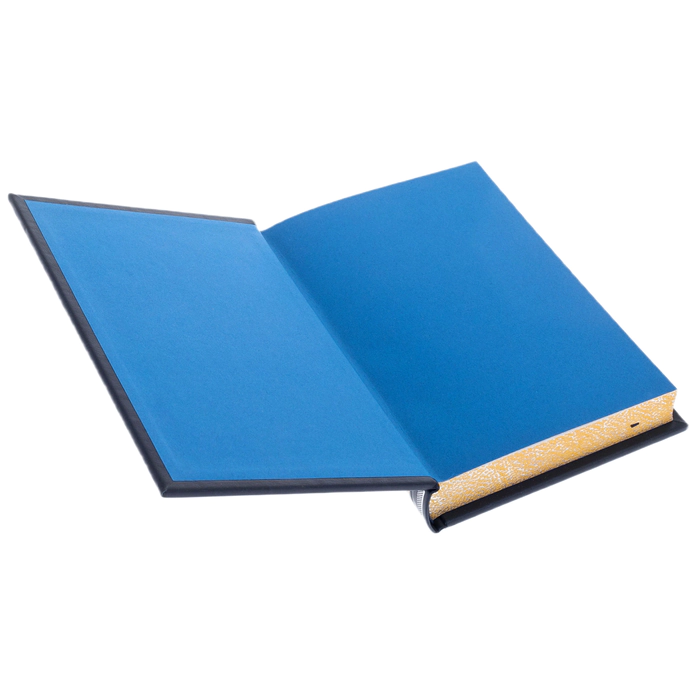 The leather-bound book "The History of Napoleon"