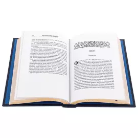 Книга в кожаном переплете "История Наполеона"