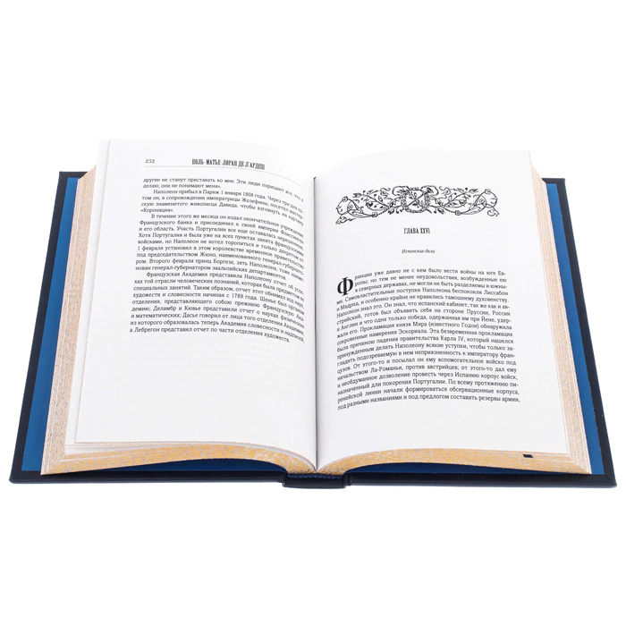 The leather-bound book "The History of Napoleon"