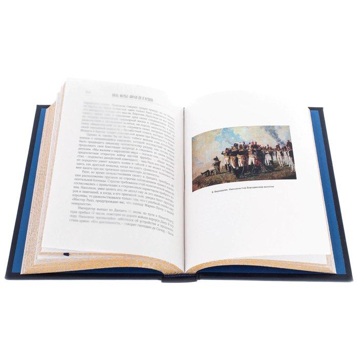 The leather-bound book "The History of Napoleon"