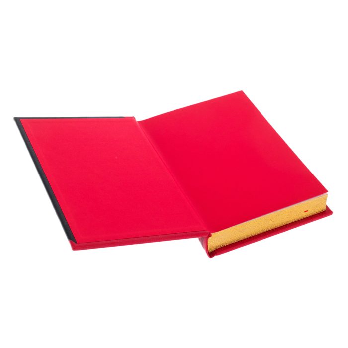 The leather-bound book "The Story of Peter the Great"