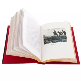 Книга в кожаном переплете "История Петра Великого"