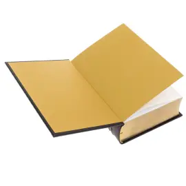 Книга в кожаном переплете "Библия" с иллюстрациями Гюстава Доре, Златоуст