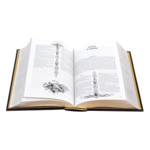 Книга в кожаном переплете "Библия" с иллюстрациями Гюстава Доре, Златоуст
