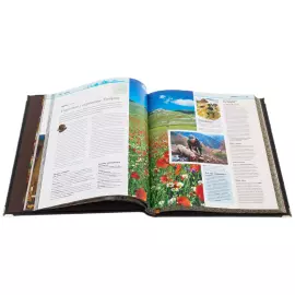 Книга в кожаном переплёте "Лучшие блюда и рестораны мира" в коробе