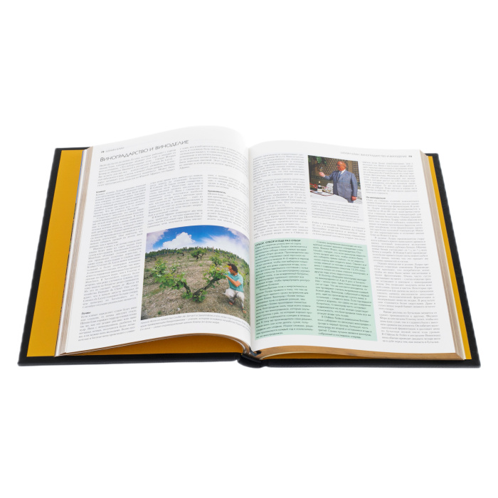 The leather-bound book "The best wines and vineyards in the world" by Oz Clark