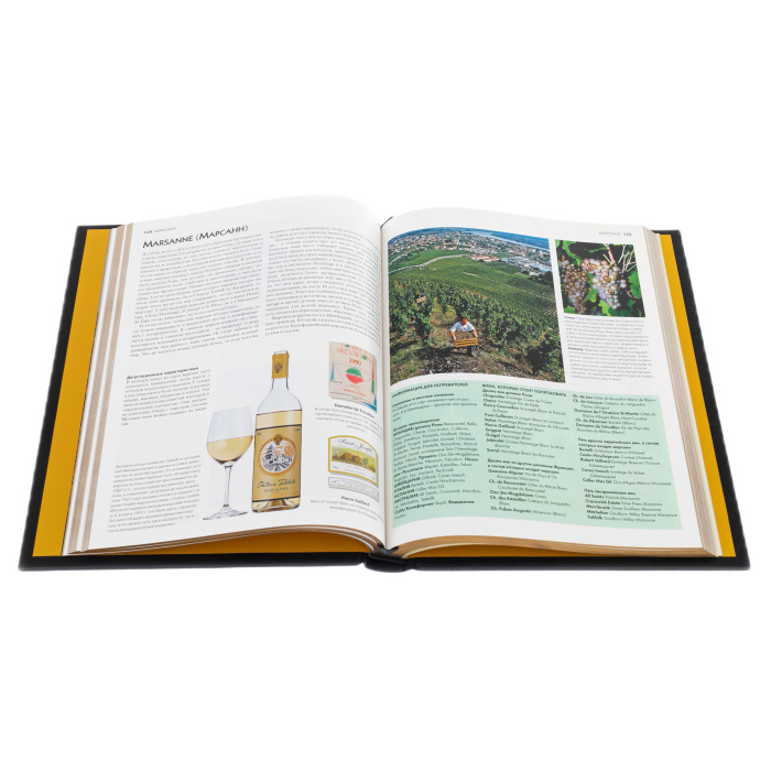 The leather-bound book "The best wines and vineyards in the world" by Oz Clark