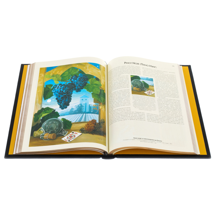 The leather-bound book "The best wines and vineyards in the world" by Oz Clark