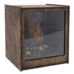 Souvenir made of amber "Owl"