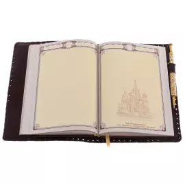 Ежедневник "Лучший доктор" с ручкой, Златоуст