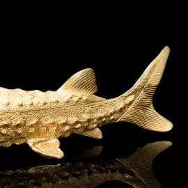 Caviar bowl "Sturgeon" with gilding