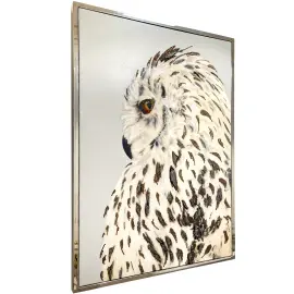 Author's mirror and jewelry panel "Polar Owl"