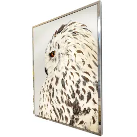 Author's mirror and jewelry panel "Polar Owl"