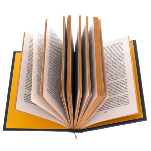 Подарочная книга в кожаном переплете "Тайная история полиции. От Ивана Грозного до Николая II"