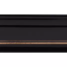 Casket "Anichkov bridge" Larishev, Fedoskino