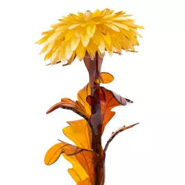 Amber flower "Astra"