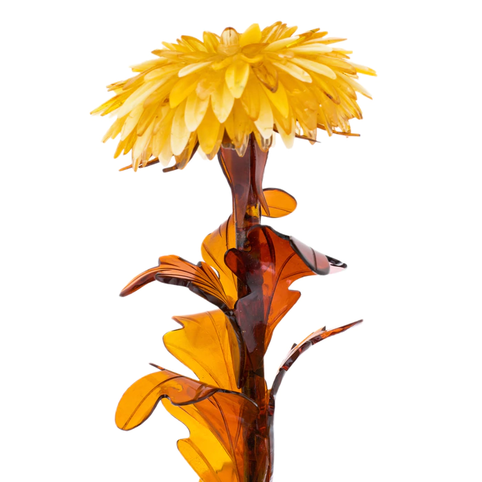 Amber flower "Astra"