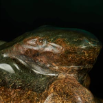 Author's jade sculpture "Shark on a wave"