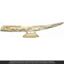 Изделие из клыка моржа "Противостояние" Изделие из клыка моржа "Противостояние"