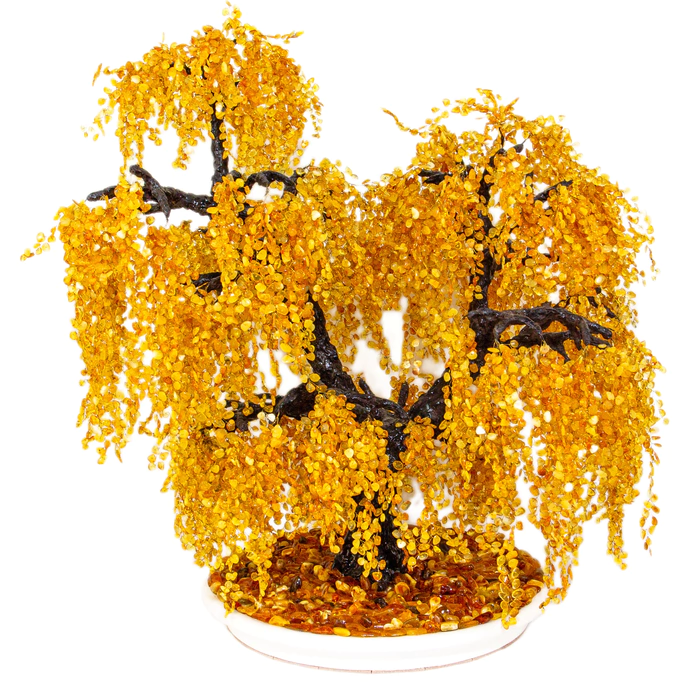 Amber tree "Weeping Willow"