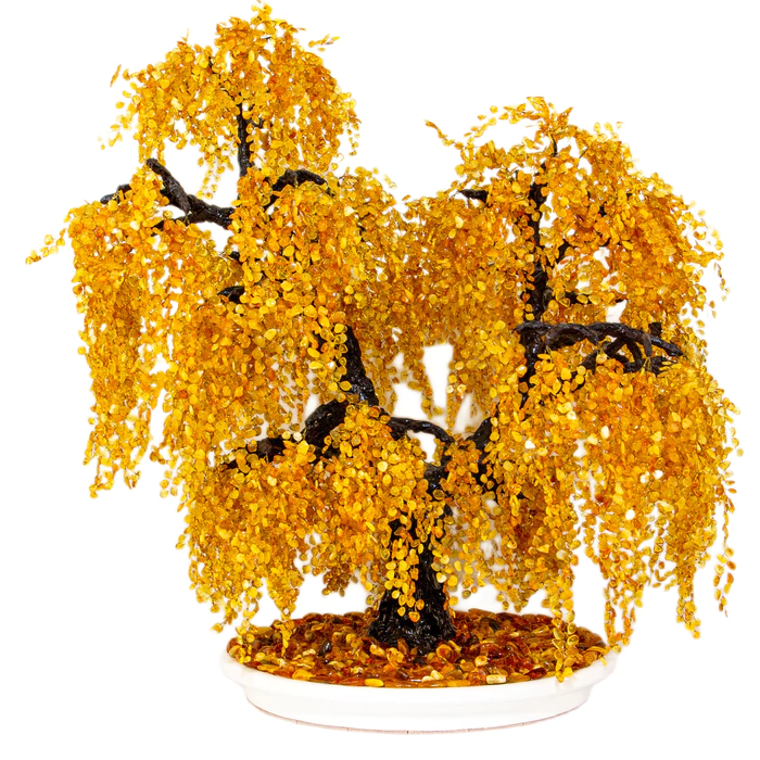 Amber tree "Weeping Willow"