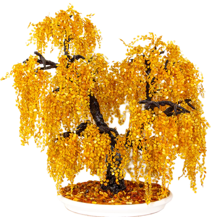 Amber tree "Weeping Willow"