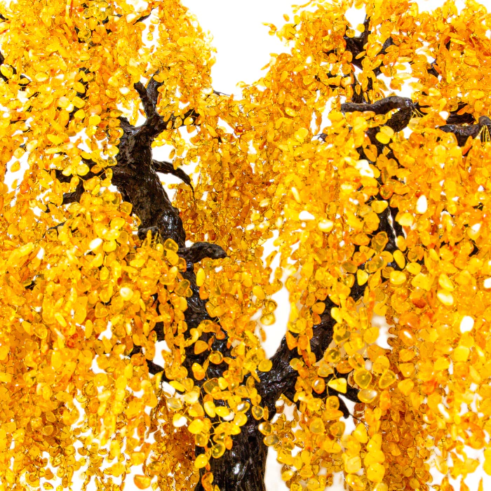 Amber tree "Weeping Willow"