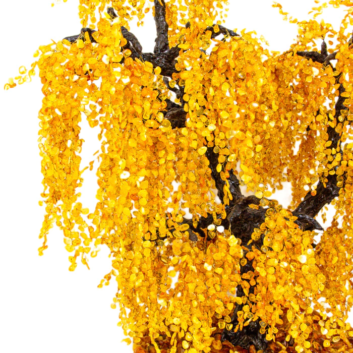 Amber tree "Weeping Willow"