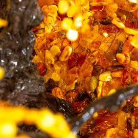 Дерево из янтаря "Плакучая ива" Дерево из янтаря "Плакучая ива"